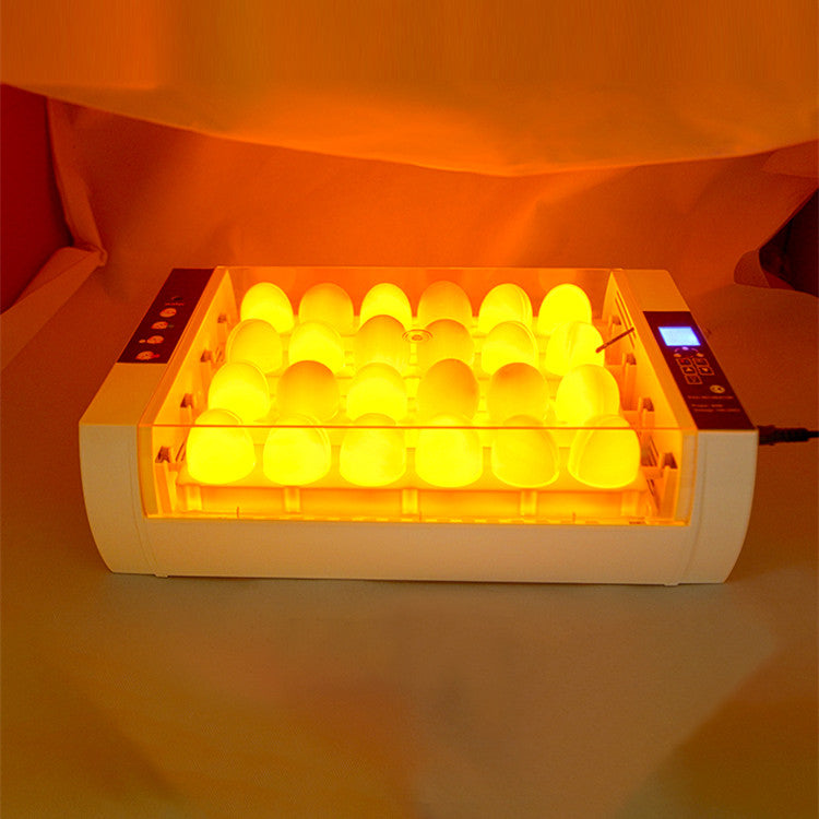 Small Household Only Fully Automatic Incubator
