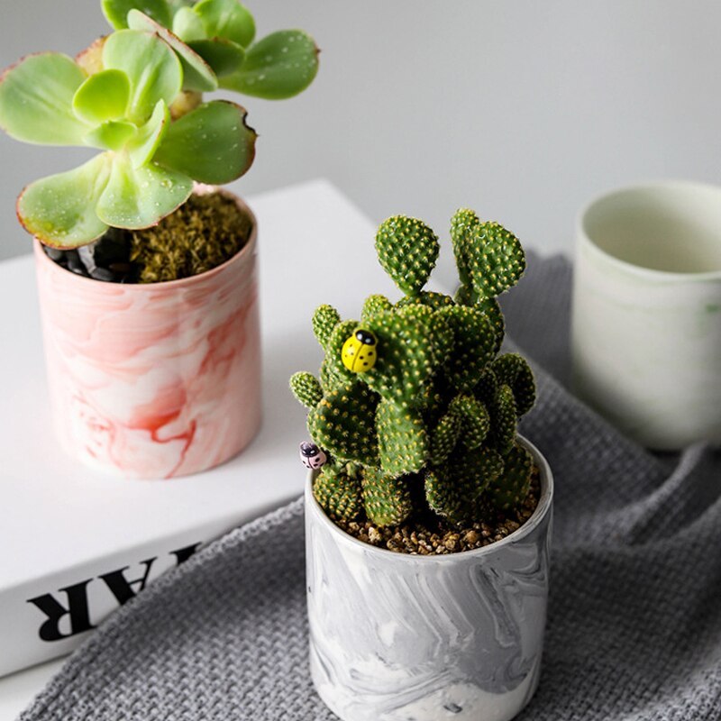 Home marbled plant flower pot