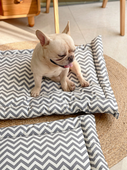 Household Dog All-season Oxford Cloth Mat
