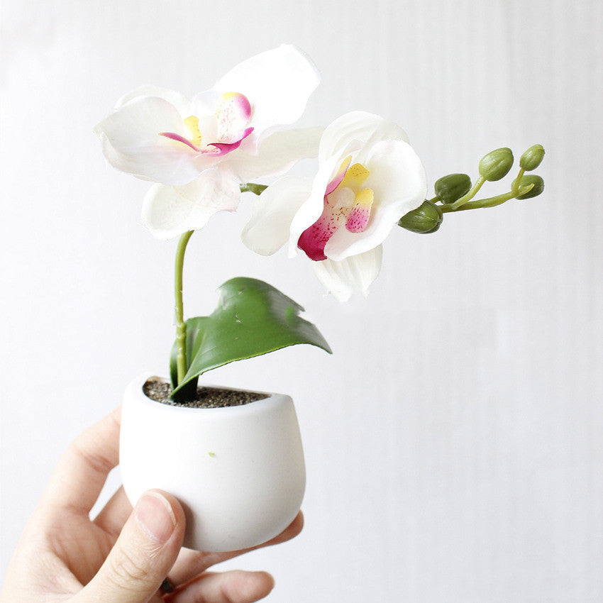 6/12pcs Aimants de Réfrigérateur Mini Plante Succulente Vase